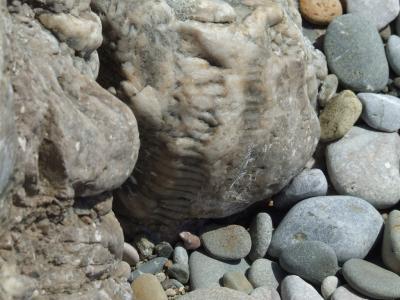 Прикрепленное изображение: 011-2.jpg